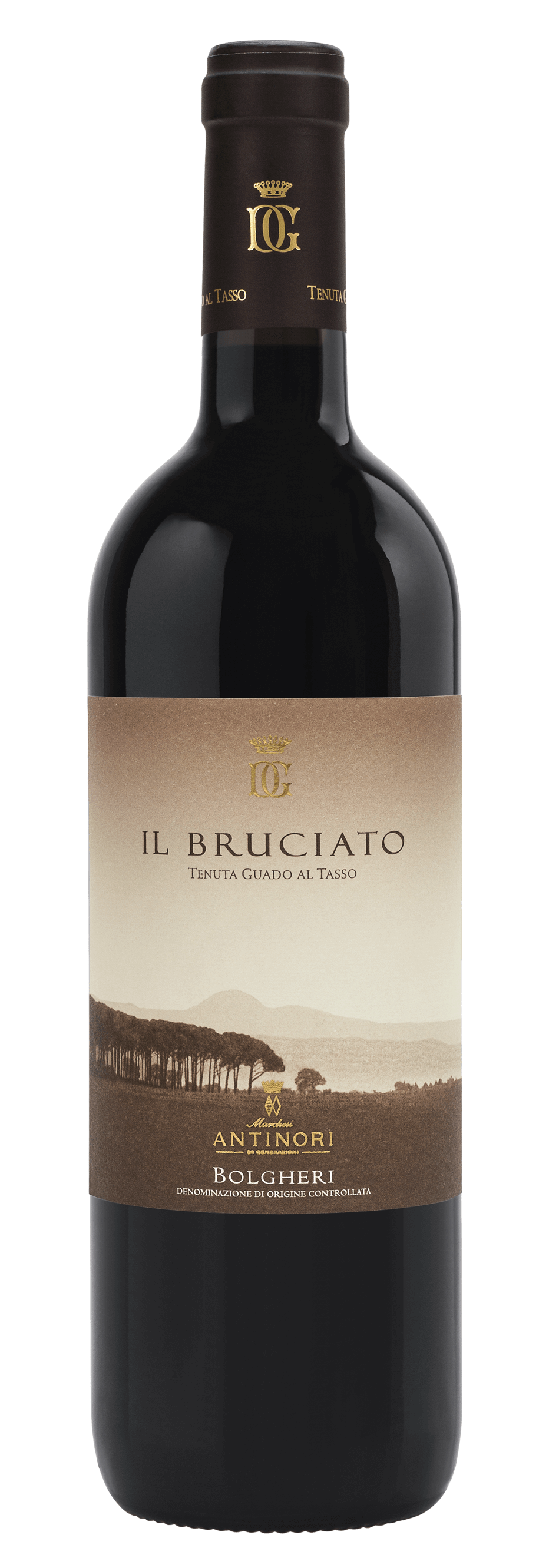 Il Bruciato Tenuta Guado al Tasso Antinori 2024 1.5 lt.