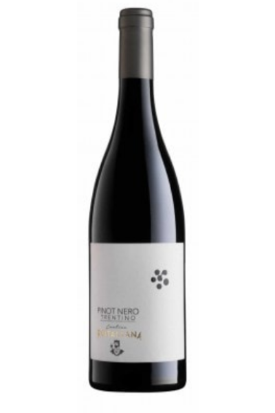 Pinot Nero Trentino Rotaliana 2021 0.75 lt.