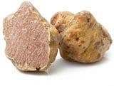 Tartufo Bianco Pregiato Invernale – Tuber Magnatum Pico